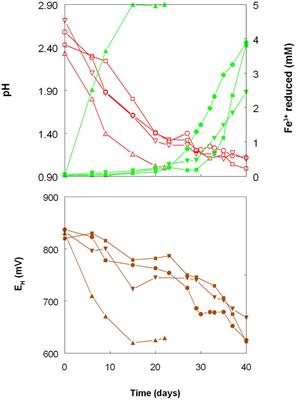 Indirect Redox Transformations of Iron, Copper, and Chromium Catalyzed by Extremely Acidophilic Bacteria